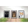 Decorative Animals Animals Cats Face Wall Art