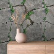 Papier peint béton modèle Green Roots design naturel avec végétation et fissures sur ciment gris