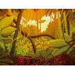 Children's Photomural Illustrated Tropical Forest