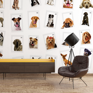 Wallpaper Animal Face...