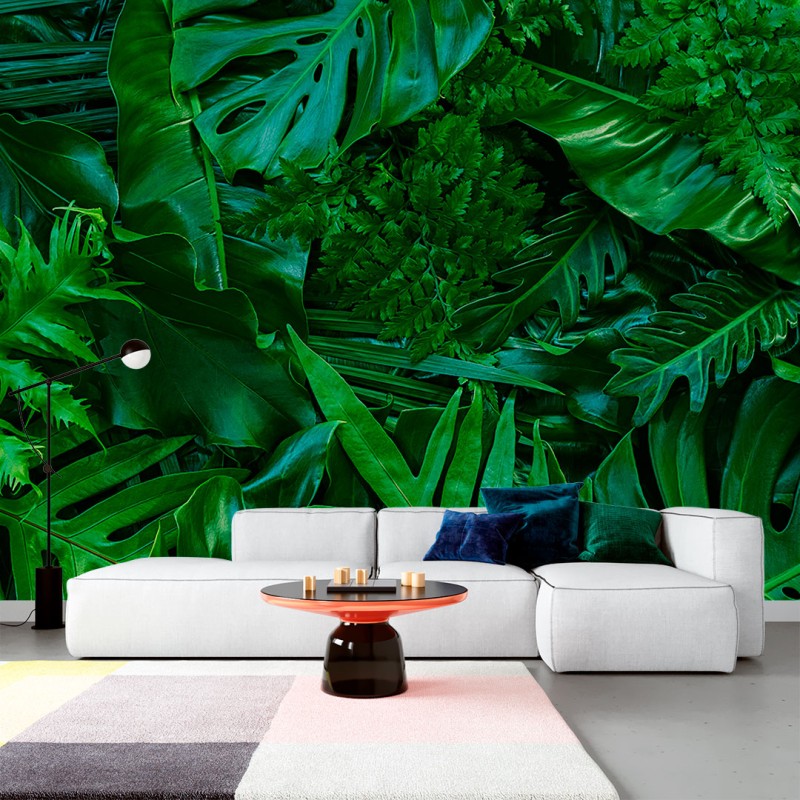 Fresque Murale Feuilles Exotiques sur Fond Naturel
