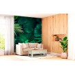 Fresque Murale Feuilles Exotiques sur Fond Sombre