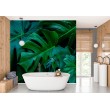 Fresque Murale Feuilles de Monstera sur Fond Sombre