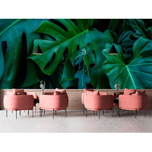 Fototapete Monstera-Blätter...