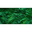 Fotomurale Foglie Tropicali in Verde Intenso