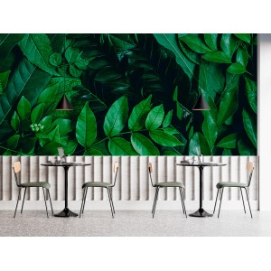 Fotomural Hojas Silvestres...