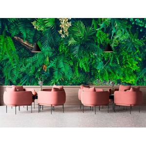 Fototapete Frische Blätter...