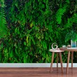 Fresque Murale Feuilles Tropicales avec Plantes Suspendues