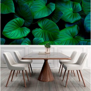 Fotomural Hojas Alargadas...