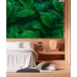 Fotomurale Foglie Rigogliose in Verde Vivo