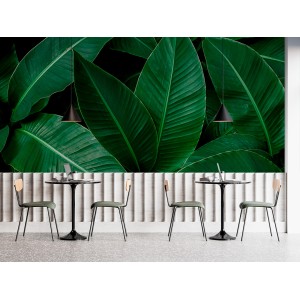 Fresque Murale de Palmier...