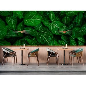 Fototapete Beleuchtete...