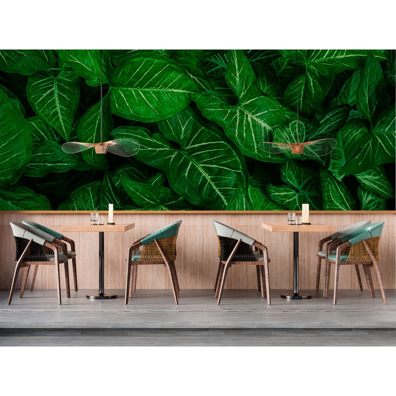 Fotomural Hojas Iluminadas con Venas Clareadas