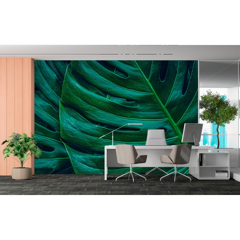 Fresque Murale Feuilles de Monstera en Gros Plan