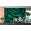 Fotomural Hojas de Monstera en Primer Plano