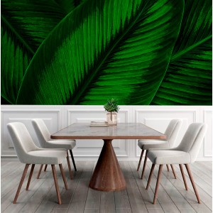 Fototapete Botanische...