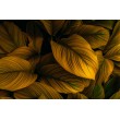 Fotomural Hojas Tropicales en Amarillo Intenso
