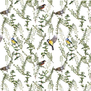 Realistic Birds Wallpaper