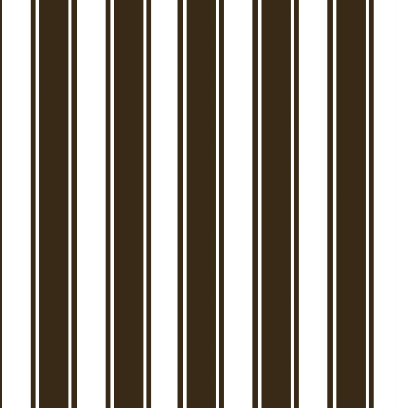 Carta da parati Stripes White and Brown