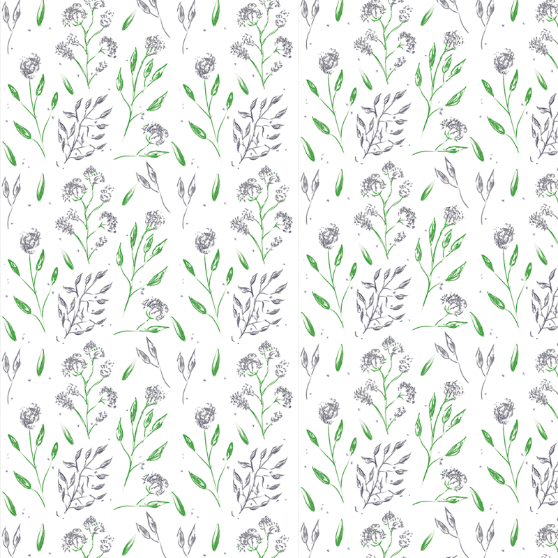 Lavendelblüten-Tapete auf weißem Hintergrund