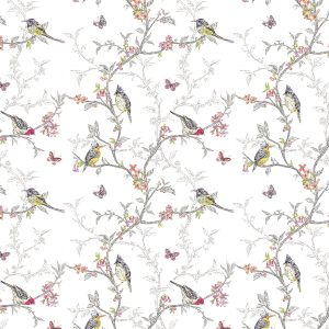 Animal Wallpaper birds on...