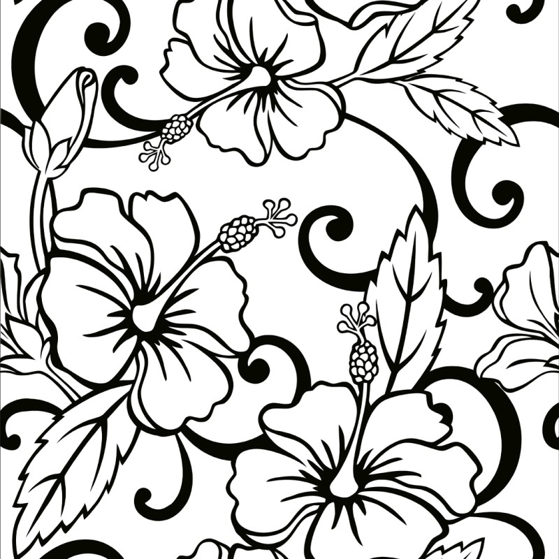 Papel Pintado Florales en fondo blanco