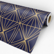 Geometric Wallpaper triangles with lines