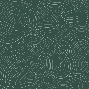 Papier peint texture bois vert